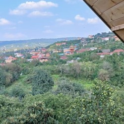 اجاره کلبه سوئیسی